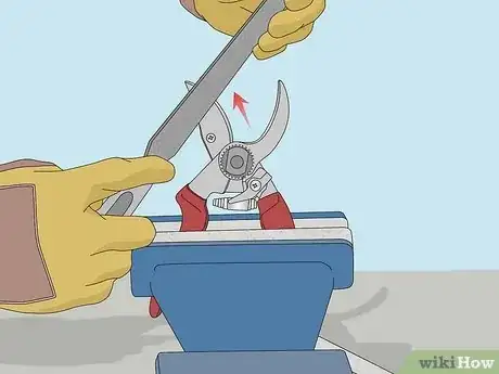 Image titled Sharpen Pruning Shears Step 10