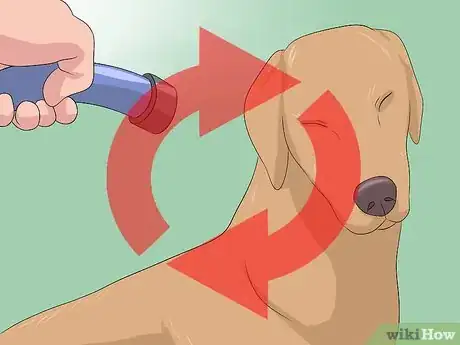 Image titled Remove Skunk Odor from Dogs Step 13