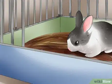 Image titled Teach a Rabbit Not to Scratch Step 3