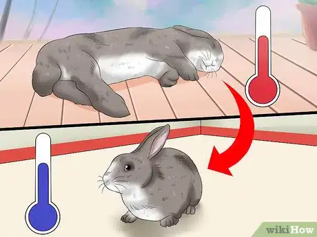 Image titled Treat Heat Stroke in Rabbits Step 1