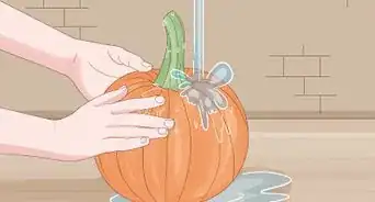 Plant Pumpkin Seeds