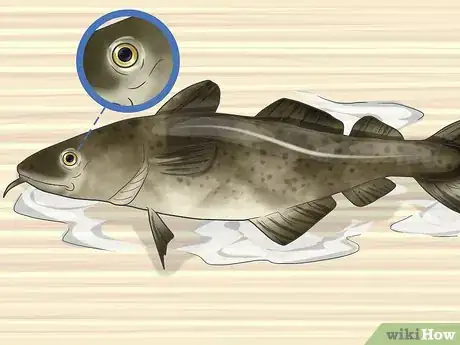 Image titled Dry Fish Step 15