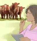 Understand Bovine Behaviour