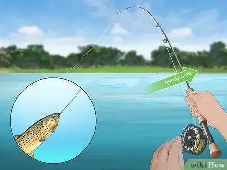 Image titled Fly Fish for Trout Step 17