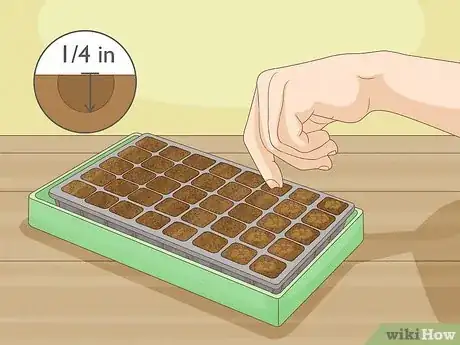 Image titled Plant Seeds in a Basic Seed Tray Step 8