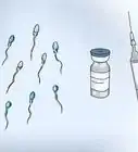 Increase Your Sperm Count