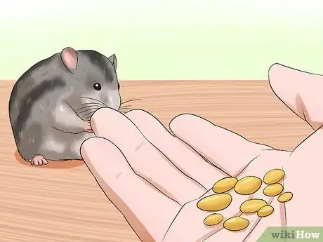 Image titled Handle a Hamster Without Being Bitten Step 3