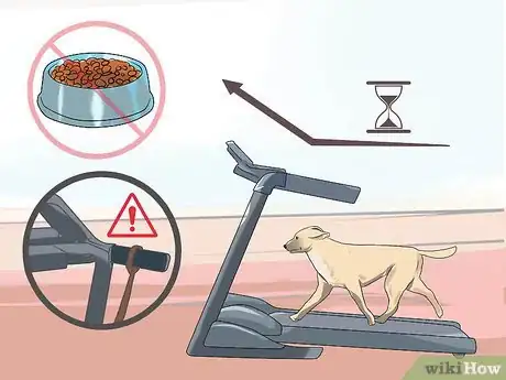 Image titled Get a Dog to Use a Treadmill Step 10