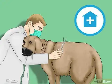 Image titled Remove Chewing Gum from a Dog's Hair Step 12