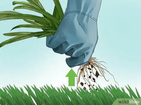 Image titled Get Rid of Weeds Without Killing Grass Step 1