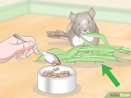 Image titled Deal with Bloat in Chinchillas Step 10