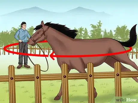 Image titled Teach Your Horse to Lunge Step 11