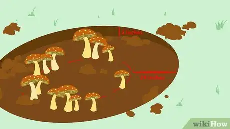 Image titled Kill Mushrooms Step 15