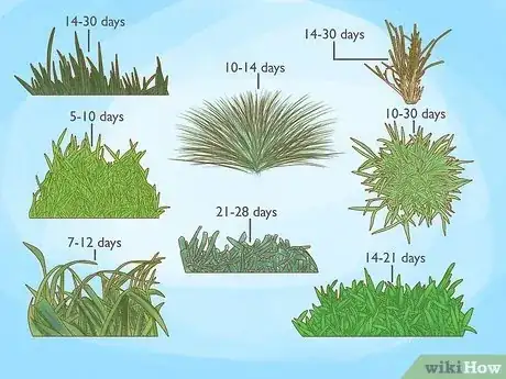 Image titled How Long for Grass Seed to Grow Step 1