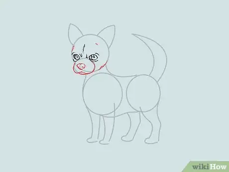 Image titled Draw a Chihuahua Step 7