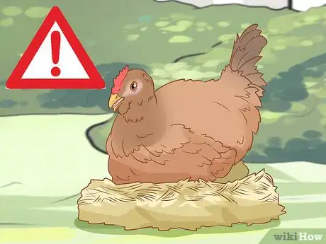 Image titled Talk to Your Chickens Step 2