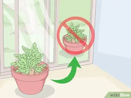 Image titled Keep Your Plants from Dying Step 10