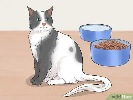 Image titled Keep a Cat Calm During a Move Step 9