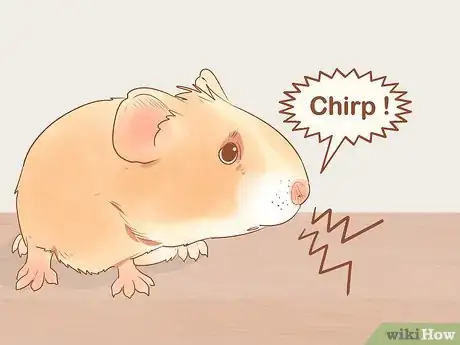 Image titled Understand Guinea Pig Language Step 4