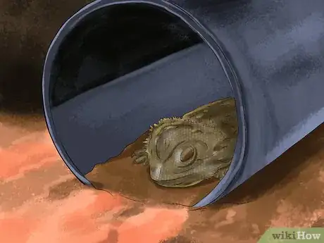 Image titled Care for a Sick Bearded Dragon Step 14