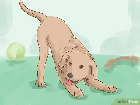 Image titled Look Friendly to Dogs Step 10