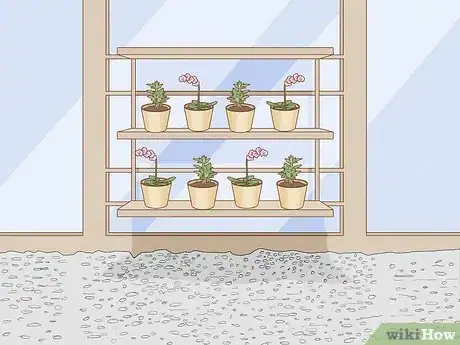 Image titled Arrange the Inside of a Greenhouse Step 15