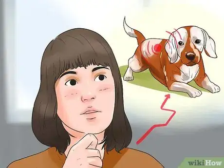 Image titled Microchip Your Dog Step 10