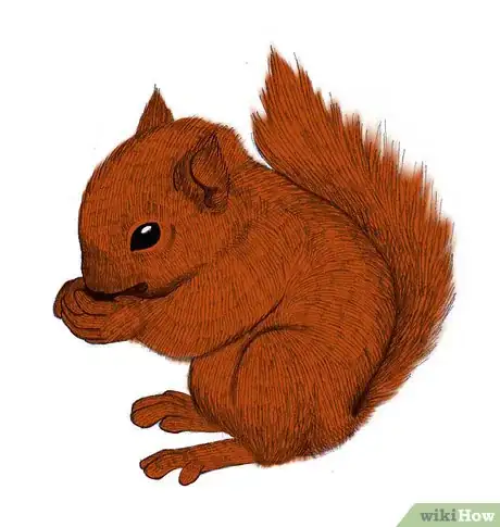 Image titled Draw a Squirrel Step 10