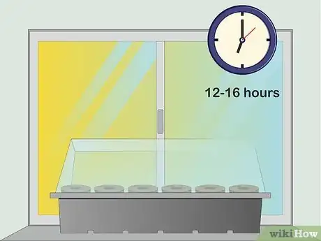 Image titled Grow Bamboo from Seed Step 7