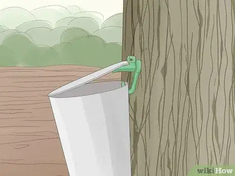 Image titled Make Maple Syrup Step 5