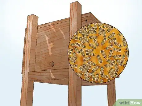 Image titled Attract Bees to a Bee Box Step 12