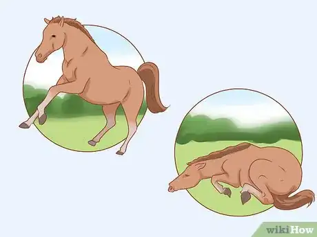 Image titled Feed a Horse Step 11