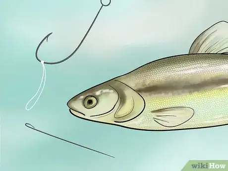 Image titled Bait a Fishing Hook Step 21