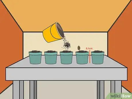 Image titled Plant Cannabis Seeds Indoors Step 8