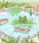 Build a Frog Pond