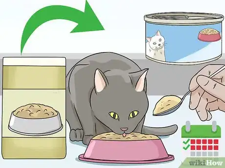 Image titled Feed a Diabetic Cat Step 7