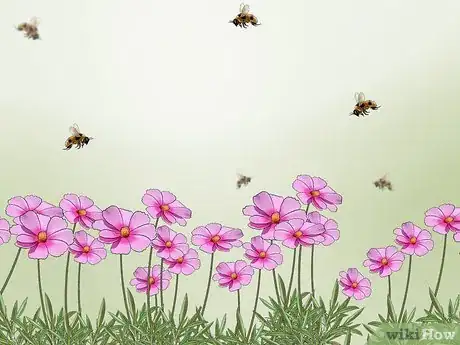 Image titled Follow Bees to Their Hive Step 5