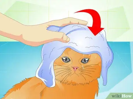 Image titled Deliver Ear Medication to Cats Step 12