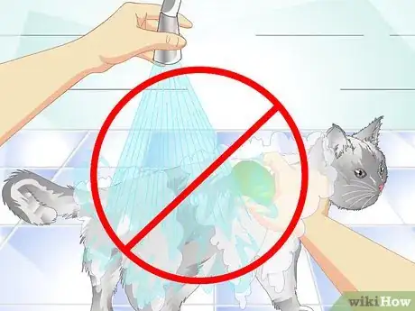 Image titled Get Rid of Cat Dandruff Step 7