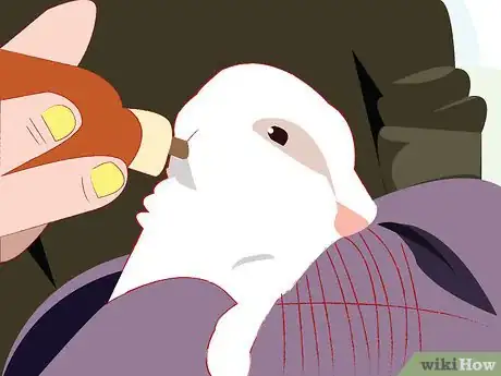 Image titled Make a Smoothie for Your Rabbit Step 7