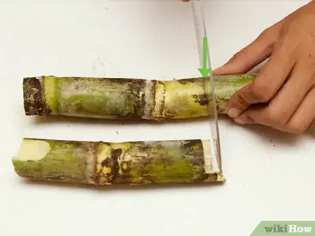 Image titled Eat a Sugar Cane Step 5