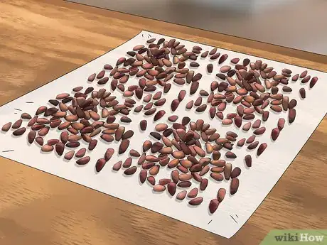 Image titled Roast Pine Nuts Step 19