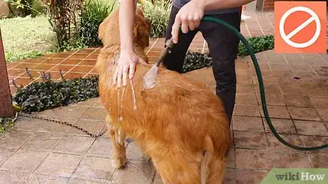 Image titled Wash a Dog Step 1