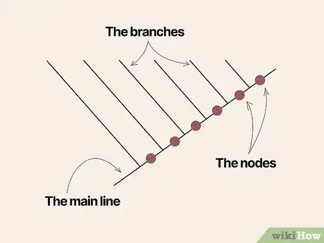 Image titled Read a Cladogram Step 1