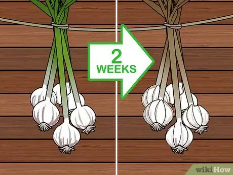 Image titled Braid Garlic Step 11