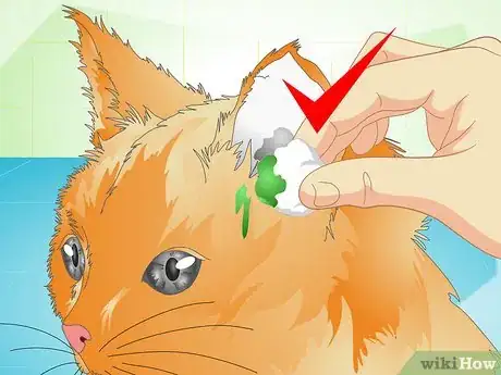 Image titled Deliver Ear Medication to Cats Step 13