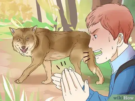 Image titled Survive a Wolf Attack Step 4