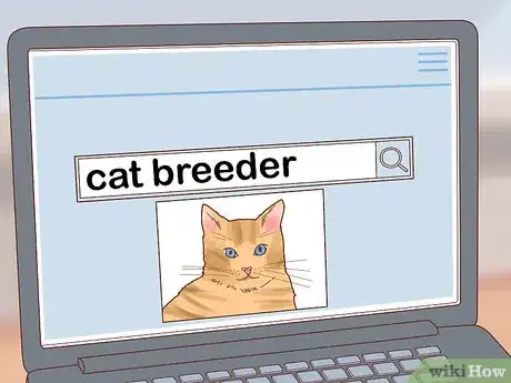 Image titled Buy a Cat Step 10