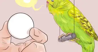 Teach Parakeets to Talk