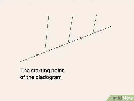 Image titled Read a Cladogram Step 4